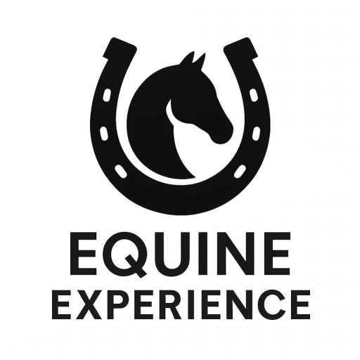 Equine Experience